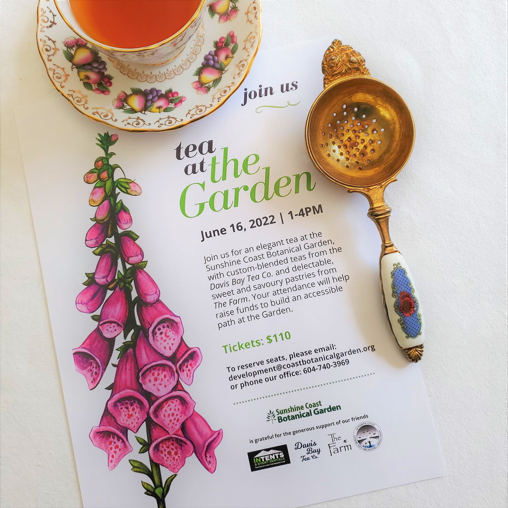 Tea at the Gardens - Sunshine Coast Botanical Garden Afternoon Tea Fundraiser