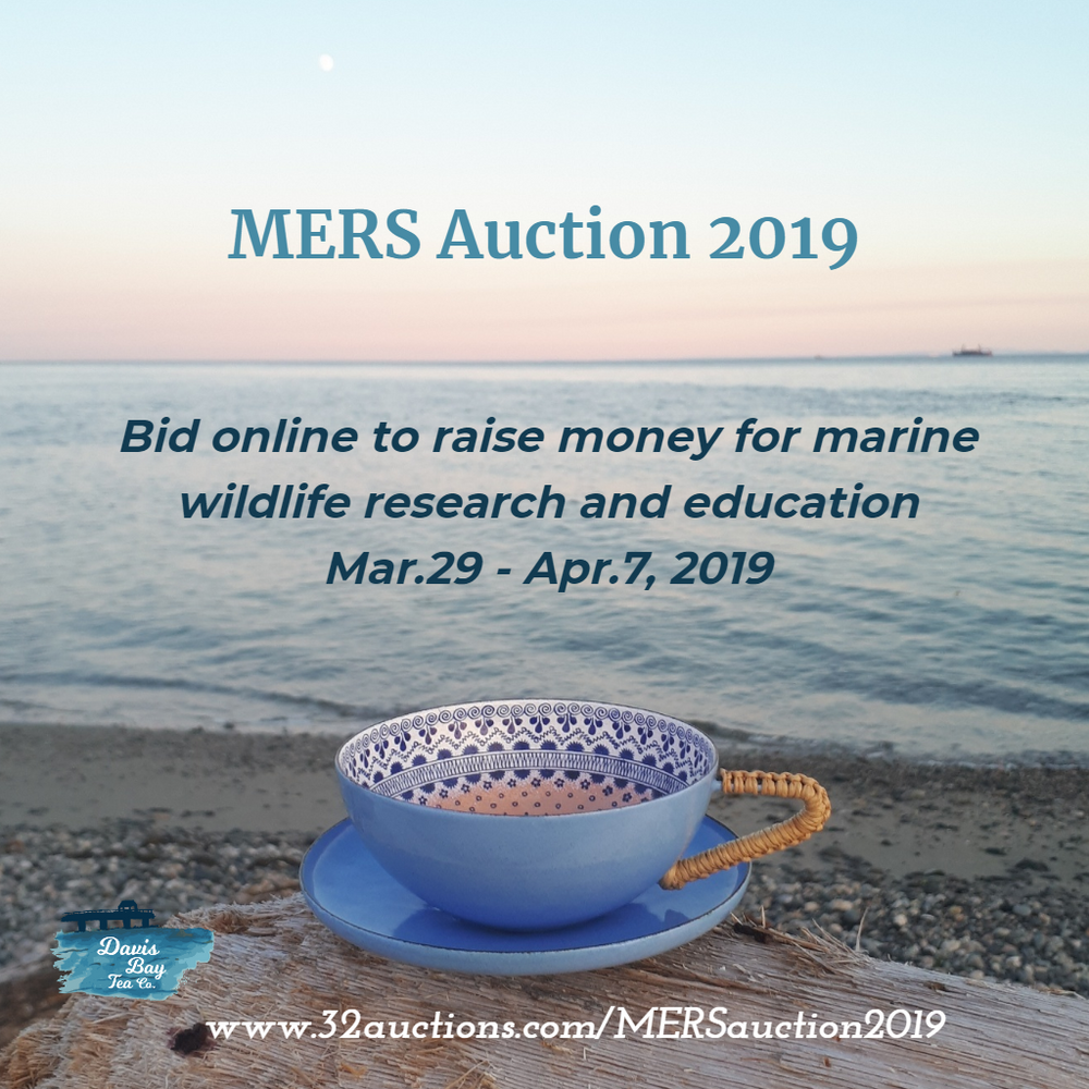 MERS Marine Education & Research Society Auction