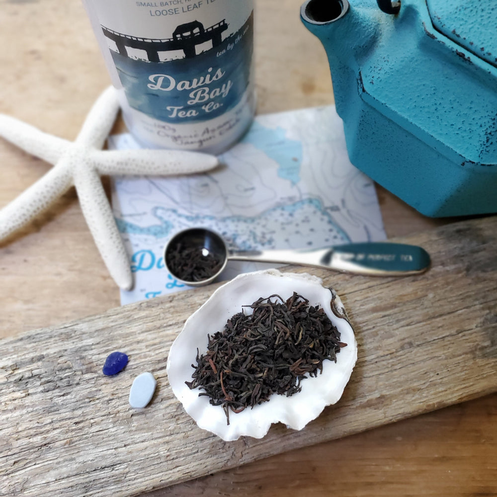 black tea leaves on seashell with tea scoop measure, driftwood, starfish, map and teapot in background