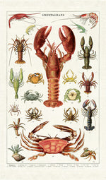 Lobsters tea towel