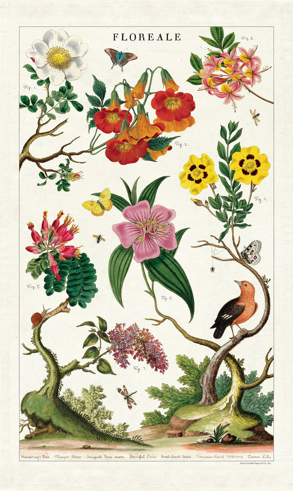 Tea towel 100% cotton with vintage bird and flower prints from Cavallini Papers archival designs.